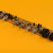 Preamplificador con dos Entradas de Micrófono, Delay y EQ